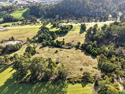 160 Guys Road, Cygnet