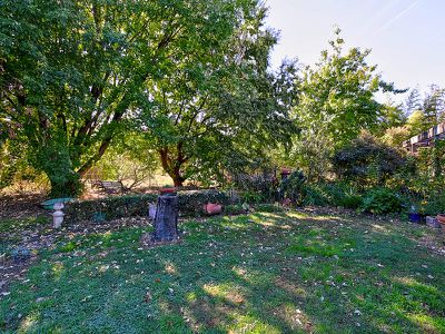 1151 Indigo Creek Road, Indigo Valley