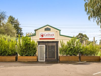 CatShack Cat Accommodation and Freehold for Sale