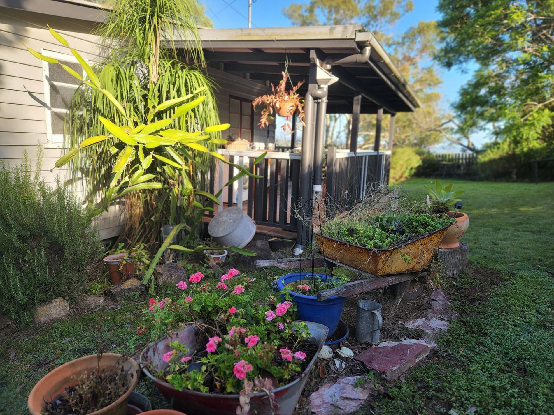 474 Whelan Road, Bollier