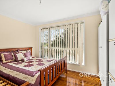 133 Waldegrave Crescent, Vincentia