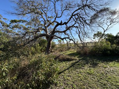 Lot 50, Banya Road South, Millicent