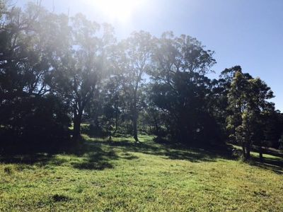 7 Dau Road, Highfields
