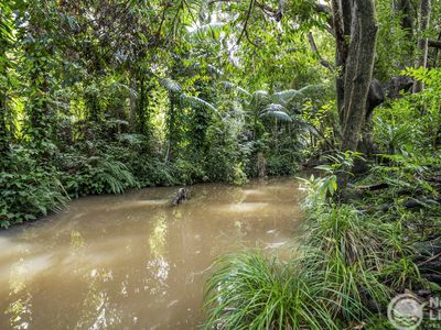 26A Coolamon Scenic Drive, Mullumbimby