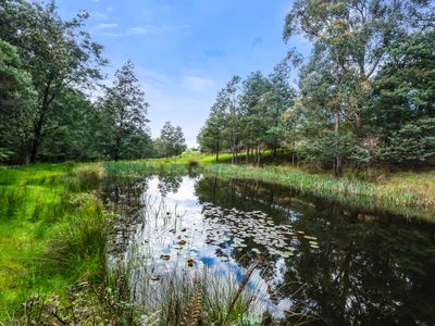 60 Clear Creek Road, Woodbridge