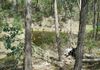 Lot 13, Mount Aquila Road, Stuart Town