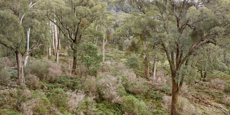 Lot 1 & 2 McCombes Road, Creek Junction