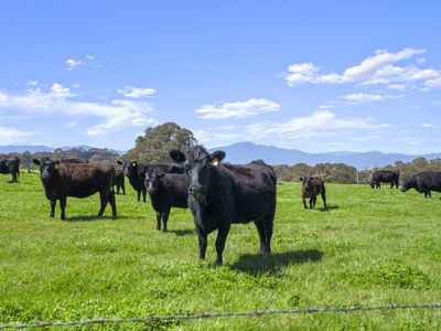 Lot 2/630 Glenroy Road, Merrijig