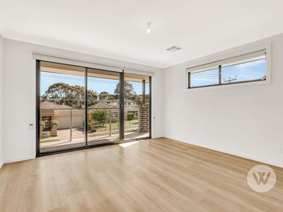 8B Palumbo Avenue, Newton