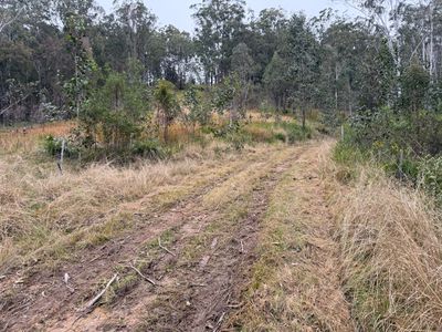 Lot 163, 3658 Nowendoc Road, Number One