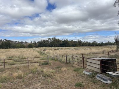 1252 Nundle Road, Dungowan