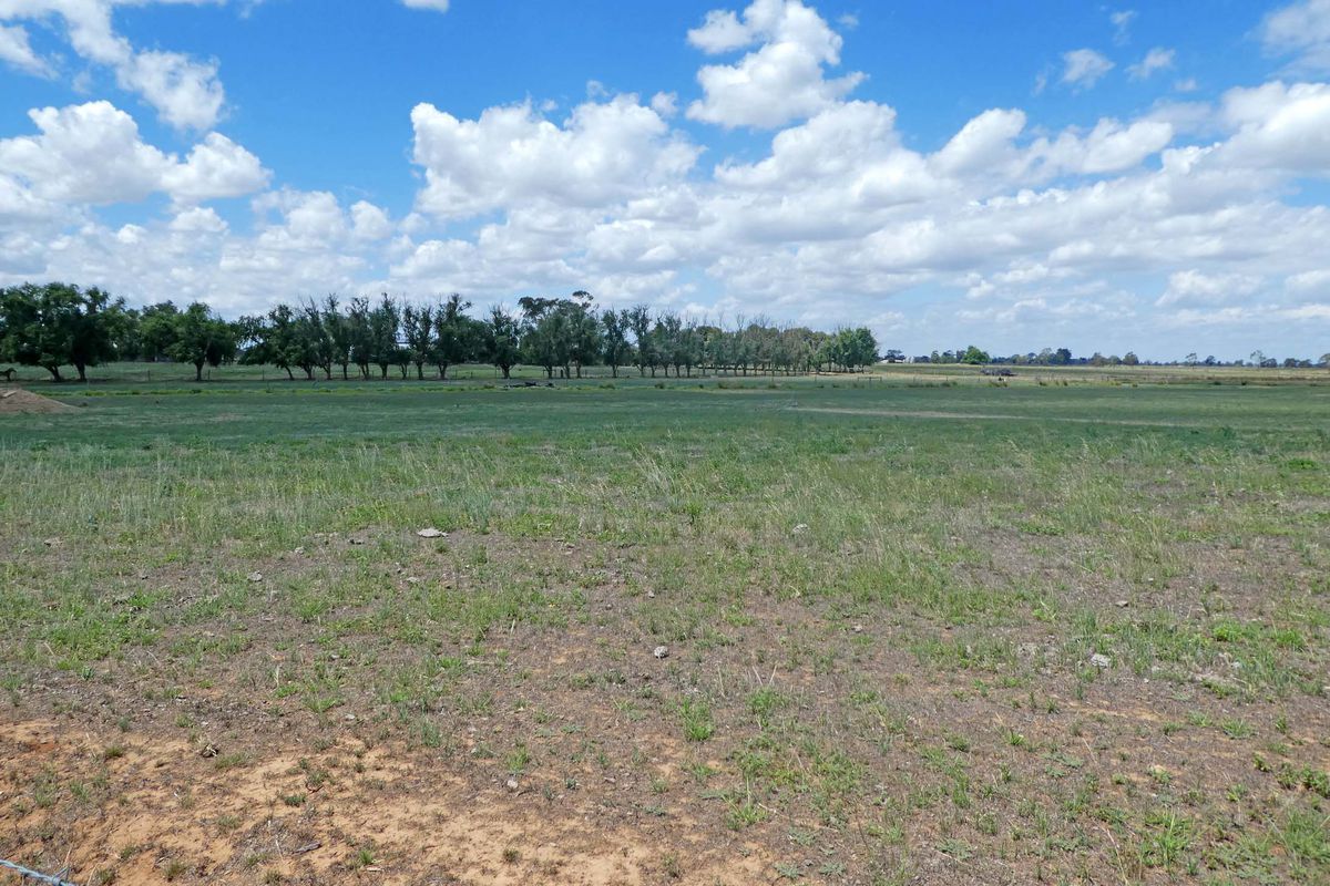 1510 Geodetic Road, Stanhope