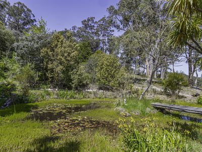 242 Woolleys Road, Lonnavale