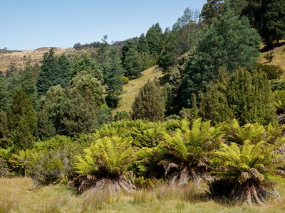 Lot 1, Dulcia Road, Gordon
