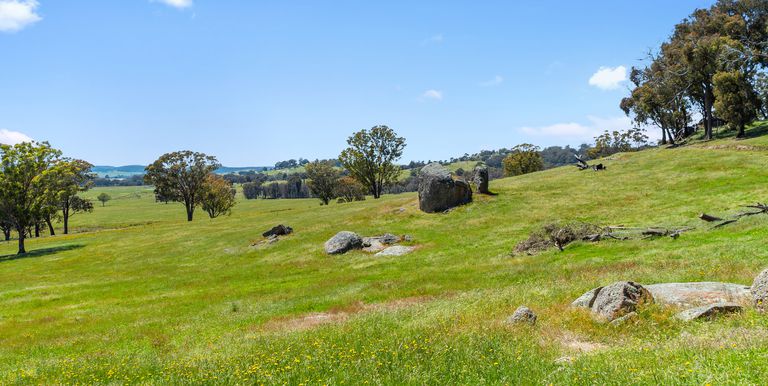 339 Kippings Road, Strathbogie