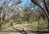 Lot 175 Kangaroobie Road, Orange