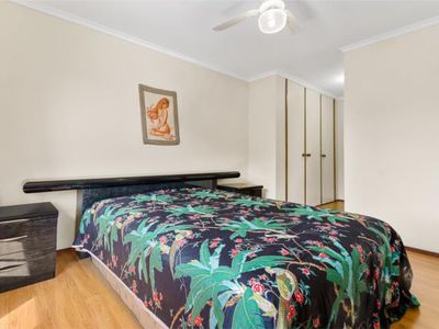 99 Gibsons Road, Figtree