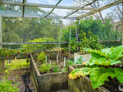 345 Old Highway, Narooma