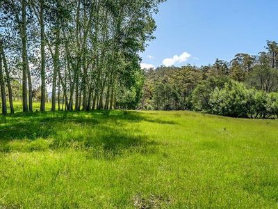 255 Turn Creek Road, Grove