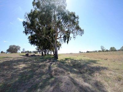 Detour Road, Wangaratta