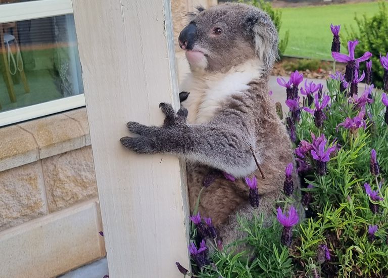 231 Golf Course Road, Heywood