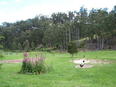 49 Packers Road, Huonville