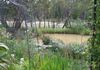 Gunnadoo Burrendong Way, Mullion Creek, Orange