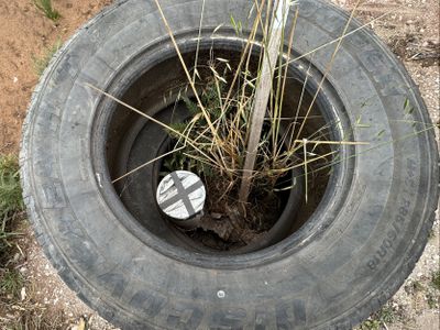 Lot 911 & 912, Skeer Road Hatherleigh via , Millicent