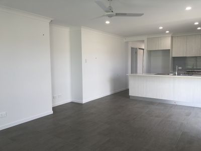 8 Otto Street , Walloon