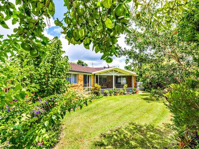 24 Golden Penda Place, Mullumbimby