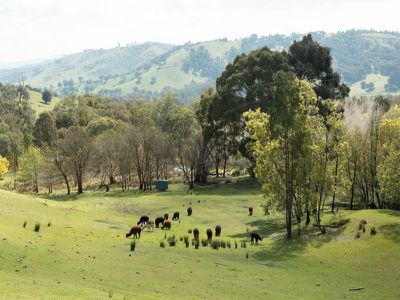 1950 Beechworth Road, Indigo Valley