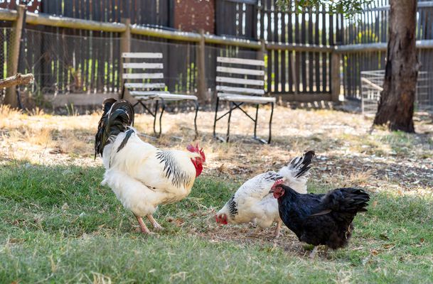 45 The Ridge, Oaklands Junction