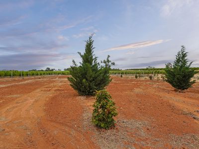 1214 Cowra Avenue, Irymple