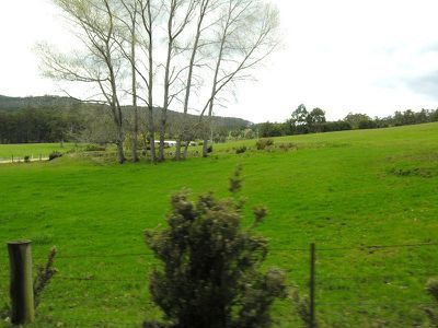 Reids Road, Cradoc