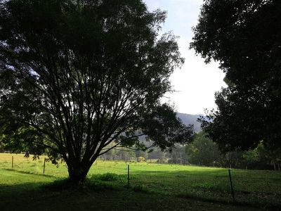 2012 Nimbin Road, Coffee Camp