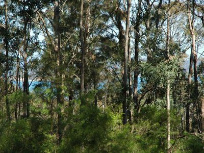 208 Princes Highway, Eden