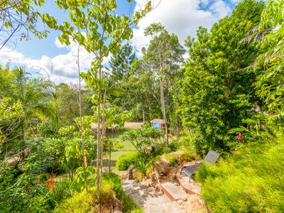 665 Left Bank Road, Mullumbimby Creek