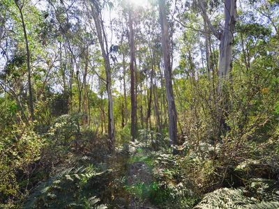 Garden Island Creek