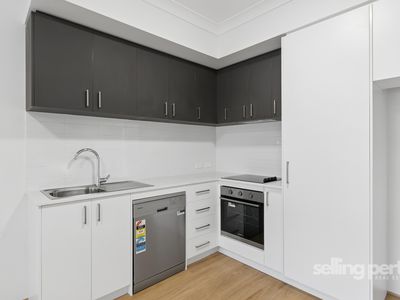 1 / 19 Ferguson Street, Maylands