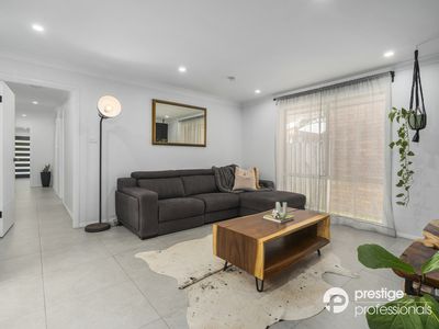 16 Tomago Court, Wattle Grove