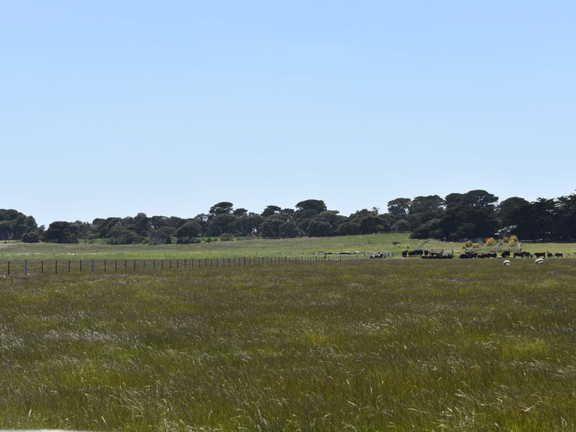 1404 Canunda Frontage Road, Millicent