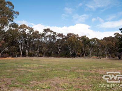 5368 Strathbogie Road, Emmaville