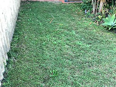 1 / 8 Korsch Street, Kippa-ring