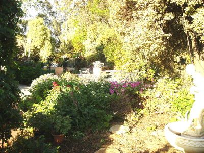2 George St, Cohuna