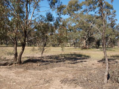 Lot 1, Corner Wedderburn Junction East Road & Little Mount Road, Fiery Flat