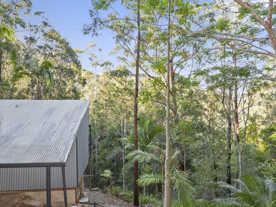 501 Mount Warning Road, Mount Warning