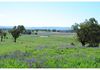 7034 Burrendong Way, Wellington