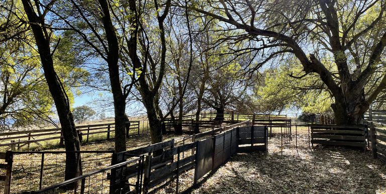 86 Hedge End Lane Kelvin View, Euroa