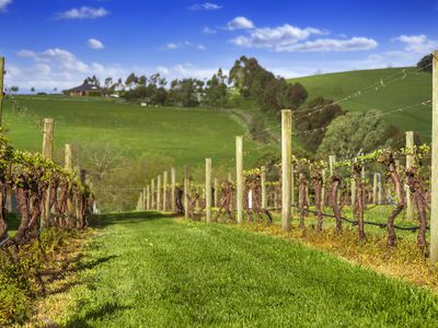 586 Kangaroo Ground St Andrews Road, Panton Hill