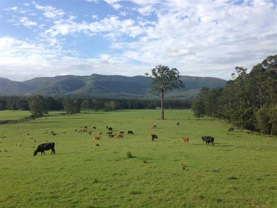 259 Mt Scanzi Rd, Kangaroo Valley